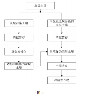 用于修復農田重金屬污染土壤的復合方法的工藝流程圖